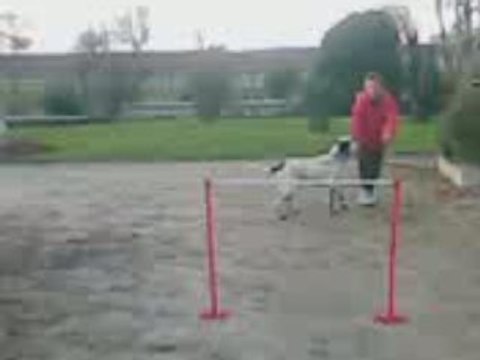 Swap qui saute a peu prés 1m