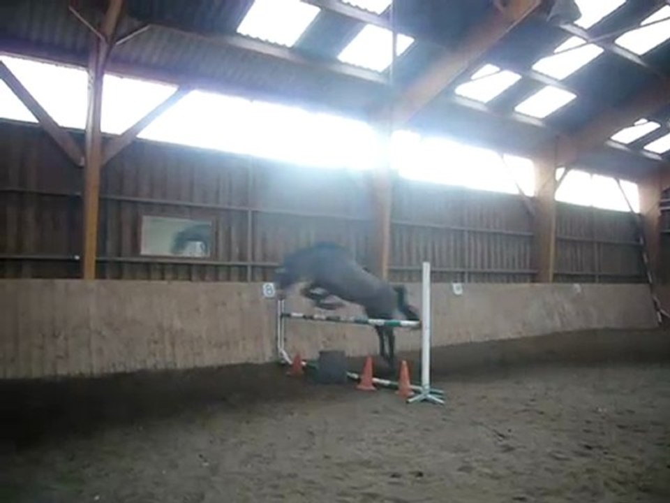 Séance saut en liberté dans le manège- Mermès- 03/12/08