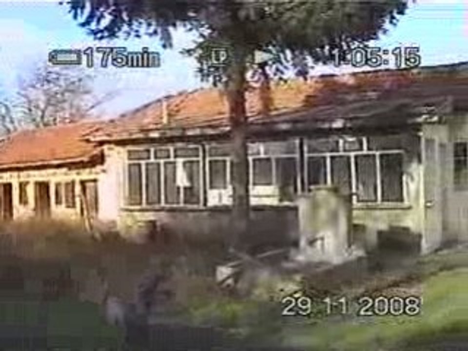 The Andrew & Roy's house
