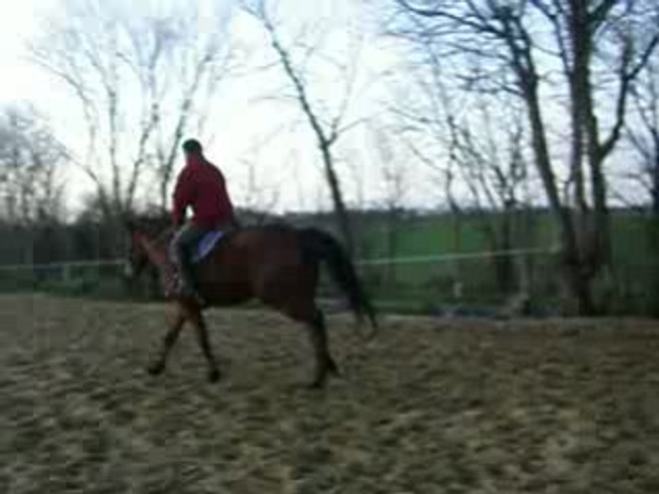 IMGP0803