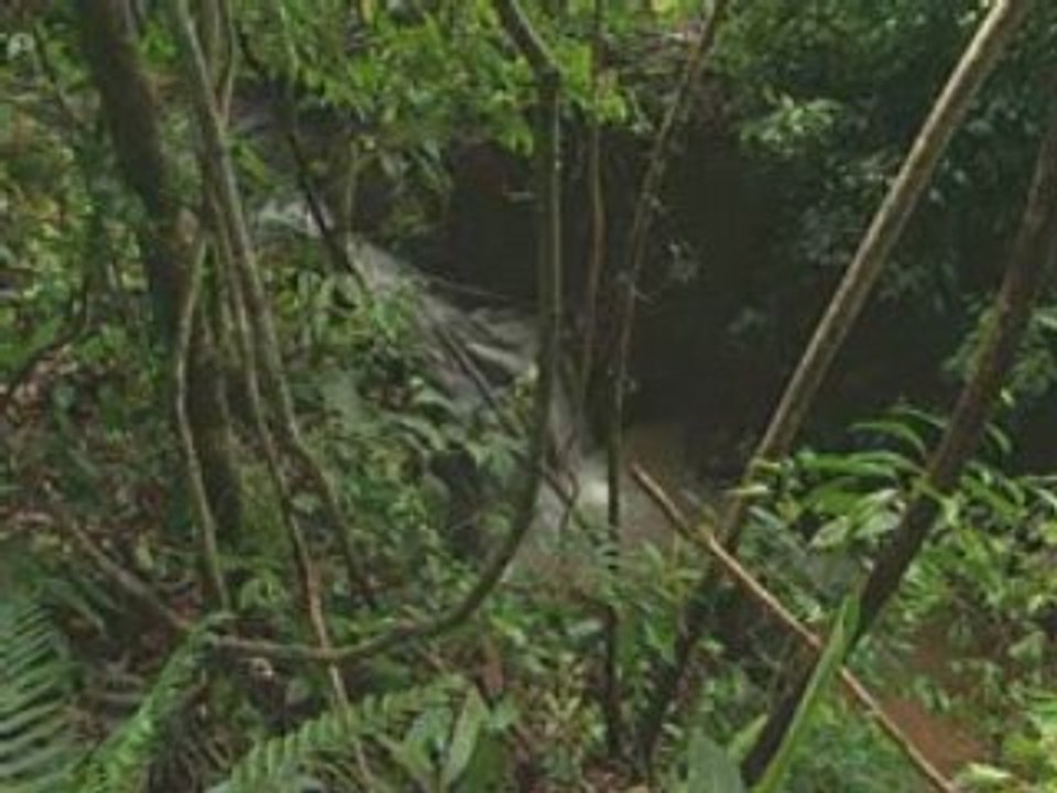 Les derniers nomades 2x3