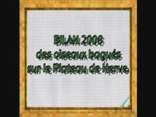 Bilan 2008 1ère partie