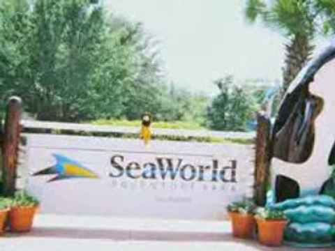 MOTEL 6 SAN ANTONIO NORTHWEST - MEDICAL CENTER Video Tour