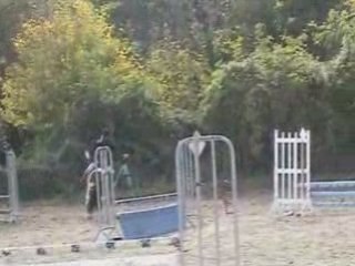 Concours Isoré le 26 10 2008 Irokwa