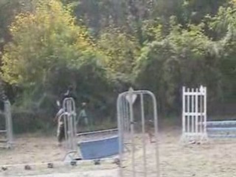 Concours Isoré le 26 10 2008 Irokwa