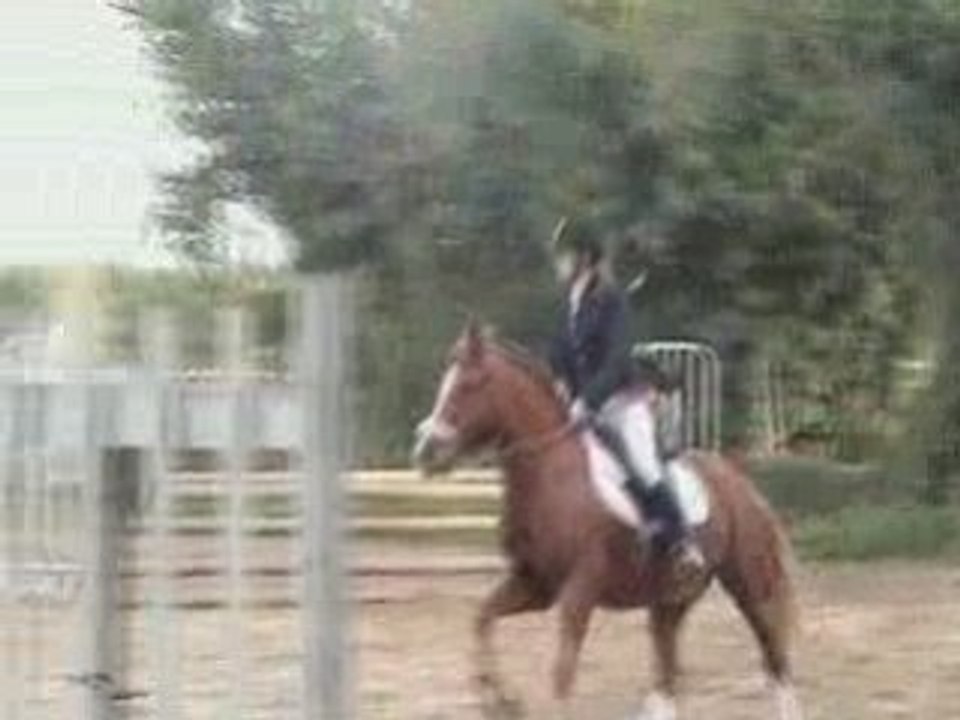 Concours Isoré le 26 10 2008 Illico