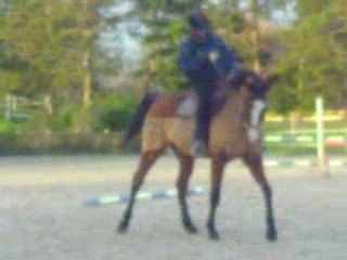 Le stage au centre équestre, Emilie et Baristan