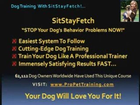 Tired of Dog Behavior Problems? Aggressive Dog?