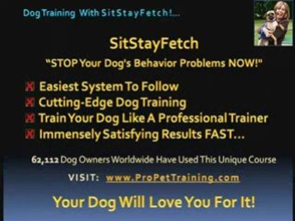 Tired of Dog Behavior Problems? Aggressive Dog?