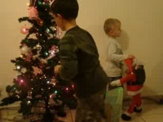 noel 2008