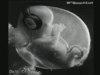 Born to be a pornstar - Bi°Hazard-Lust