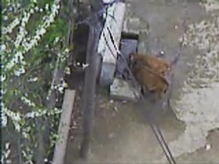 Akçabey köyü belen mahallesi