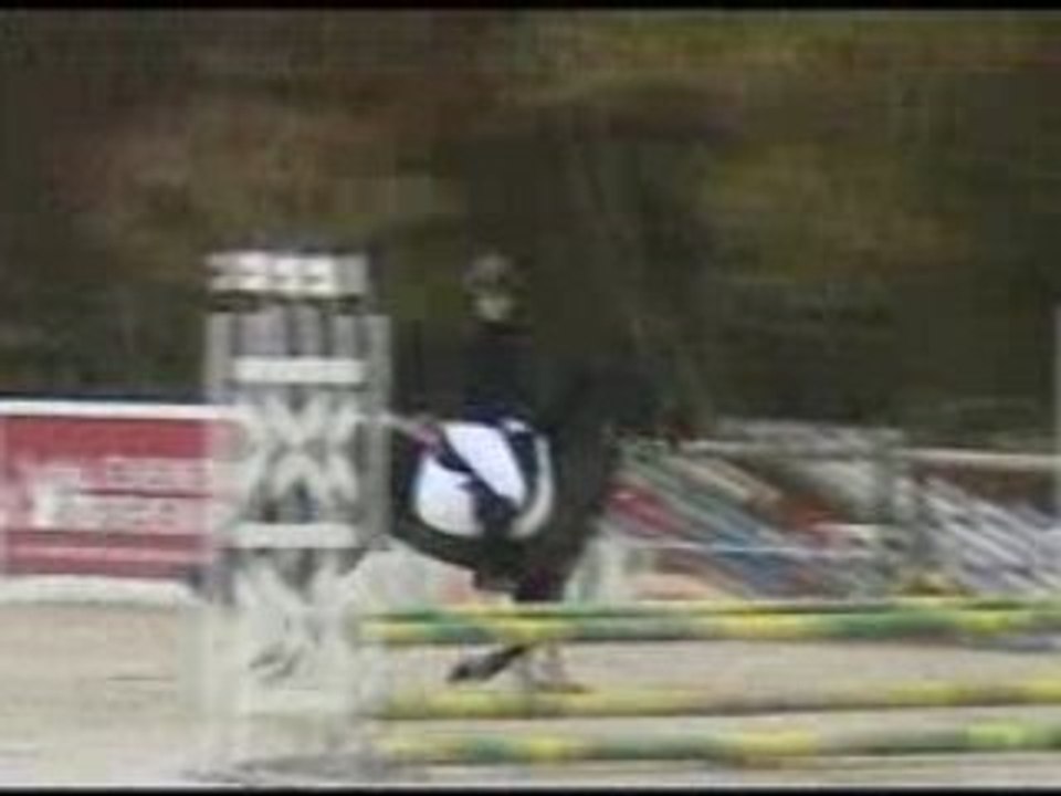 Cavalier 5