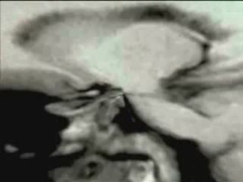 RESONANCES by ED-WAR