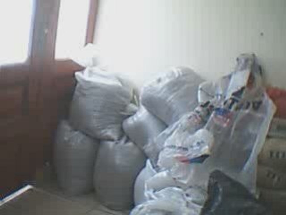 Webcam 1228390135328