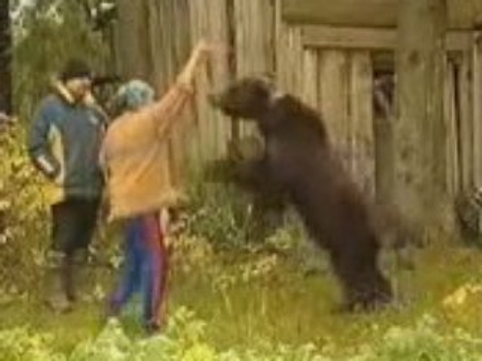 Un ours attaque une femme