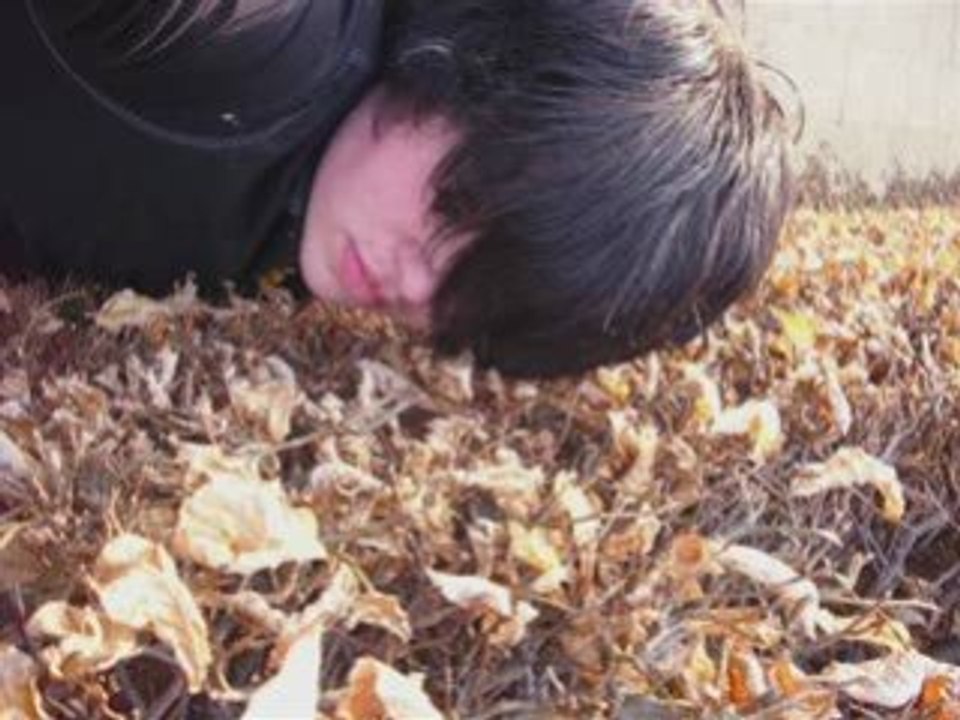 Spürst du' s nicht von endanger