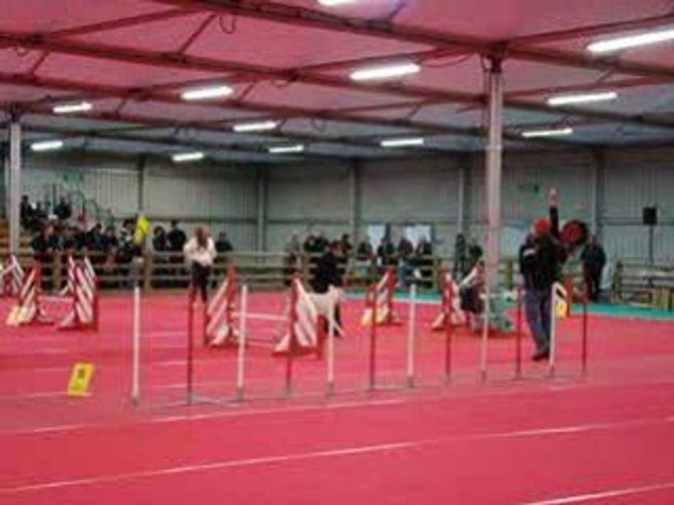 Avignon Jump Venom