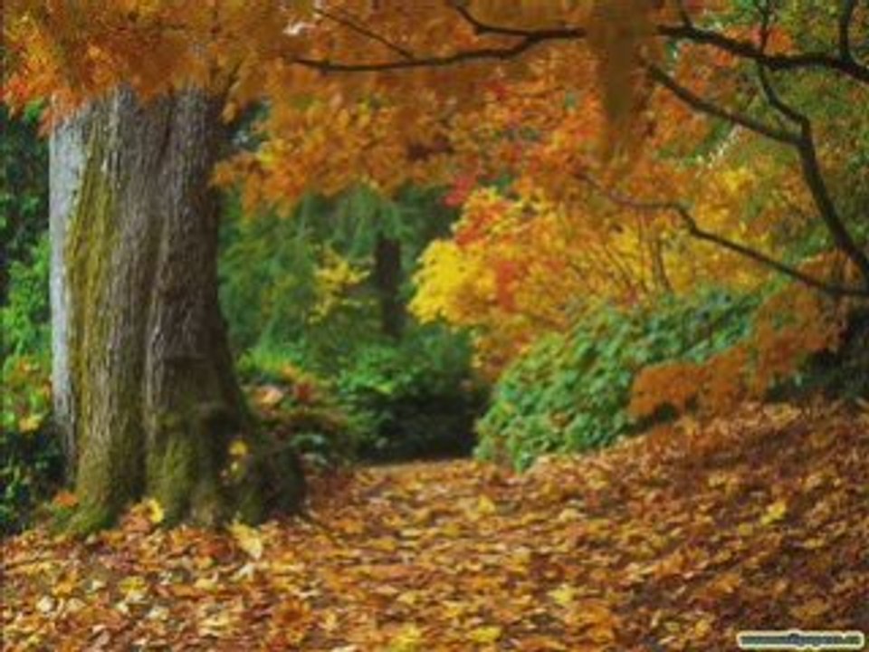 Brin de douceur ☺☻☺☻