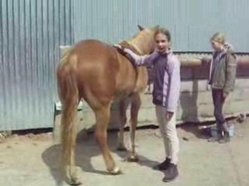 moi en train de panser paradis
