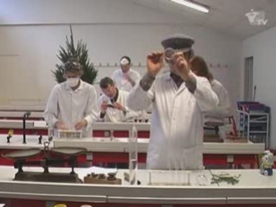 Sauvons le père Noël ! 2. Reproduction de sapins