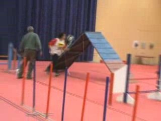 HUSKY AGILITY