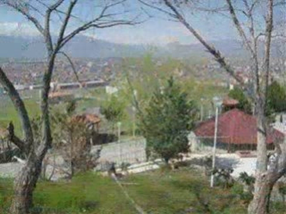 şirin erzincan