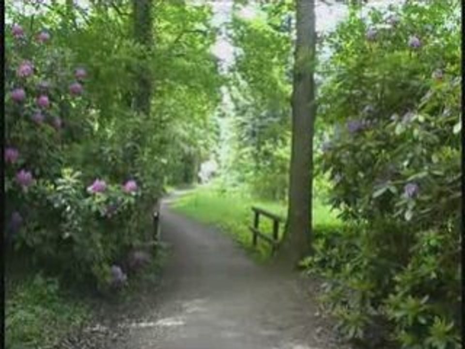 Westerstede - Stadt im Grünen