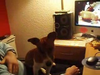 cody regarde la télé