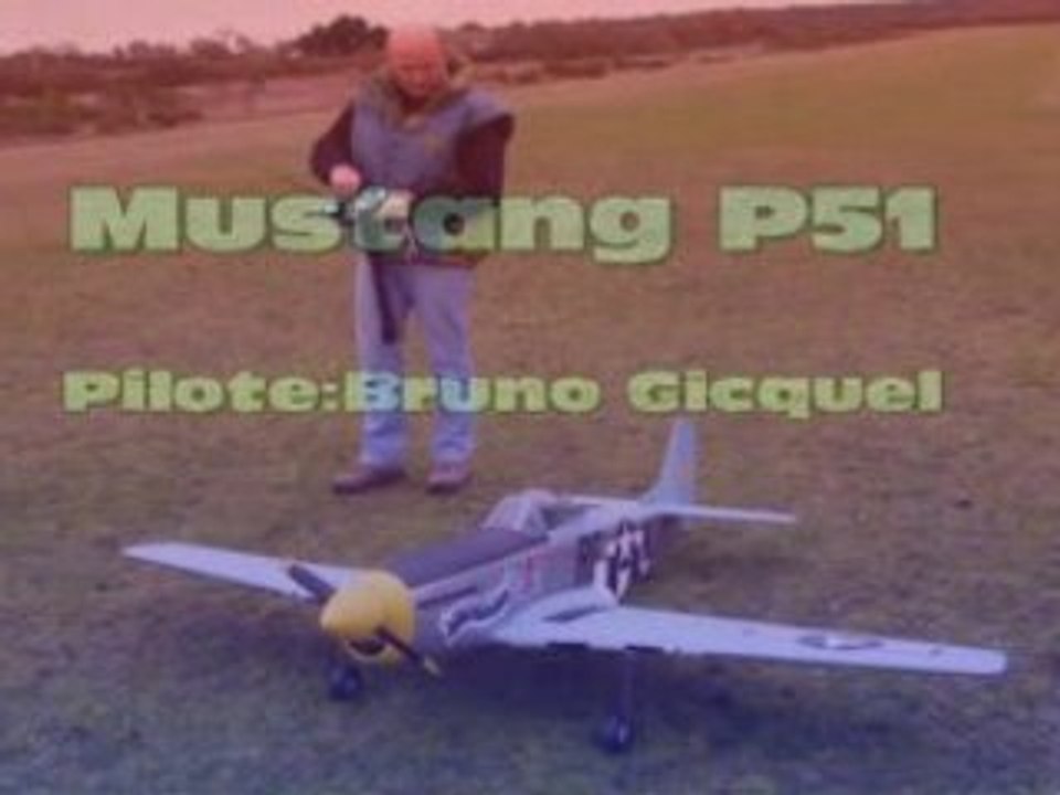Mustang Bruno1
