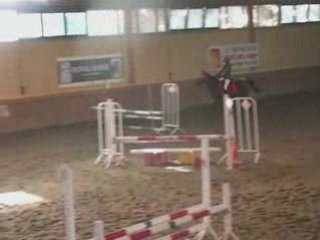 Cso Vedene avec fleur