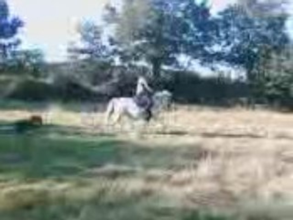 Saut_4