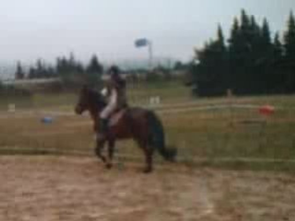 CLIP0004