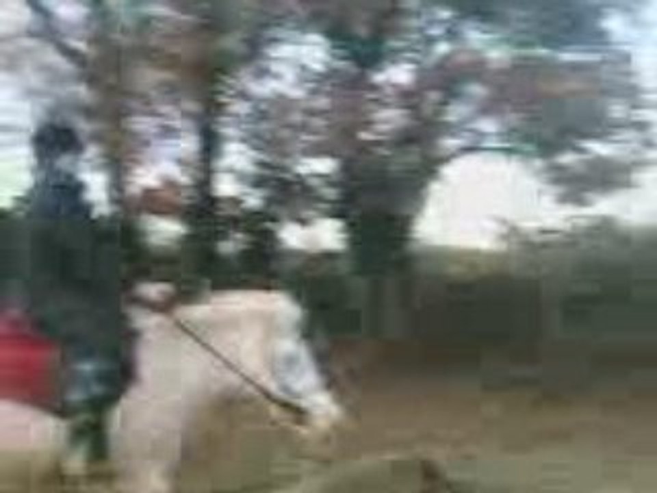 Saut_6