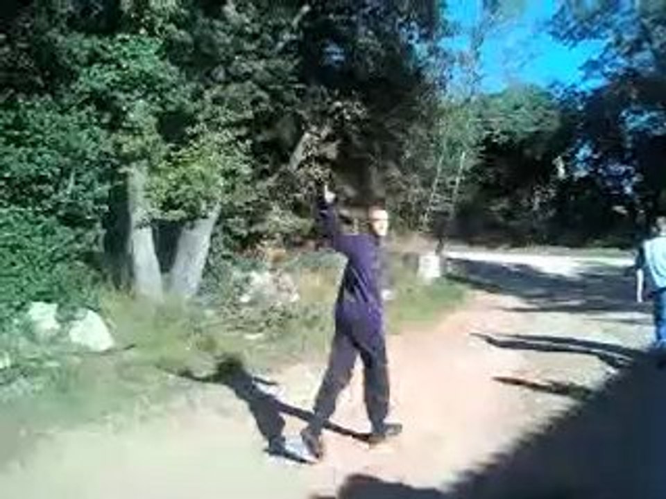 eddidi