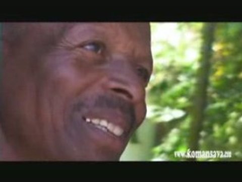 le voisin de la route des Tamarins