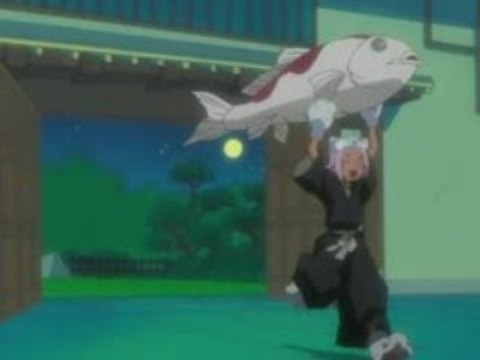 bleach shinigami book 197 vostfr