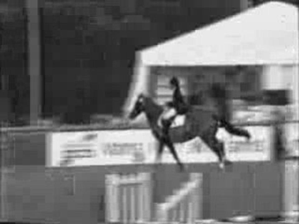 Caprice de Chayau Fontainebleau Finale 5ans