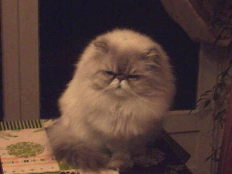 Vie Ta Vie , Nahéma et Dyna