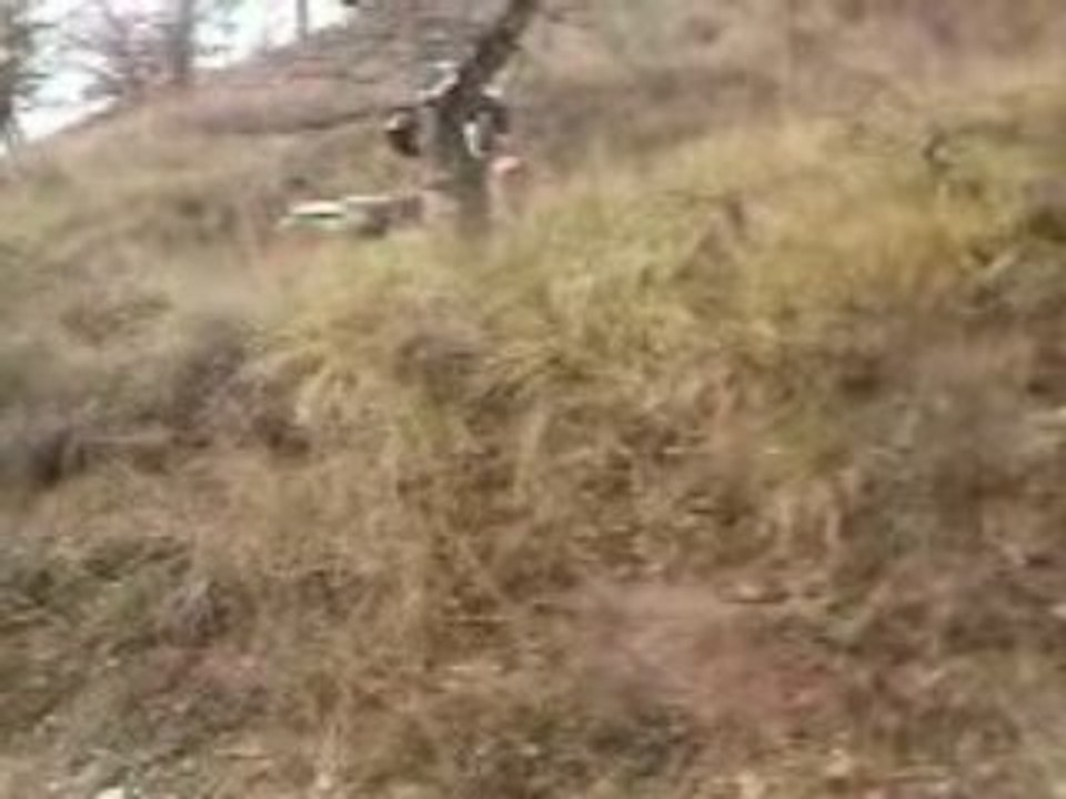 Vidéo0066