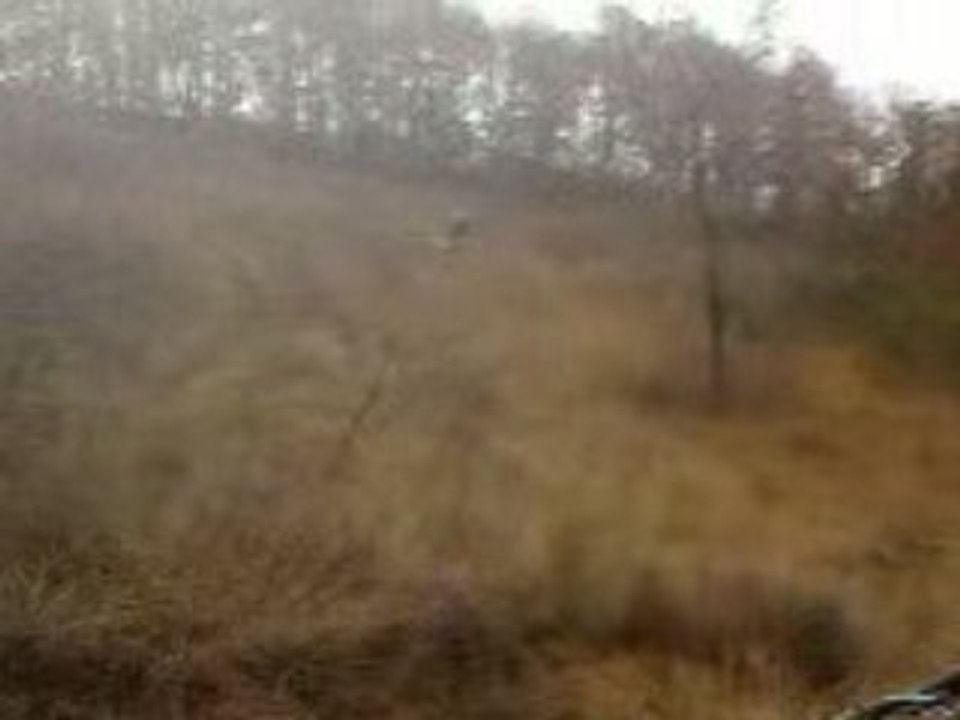 Vidéo0069