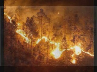 Homenaje Jose Antonio Castro Pavon