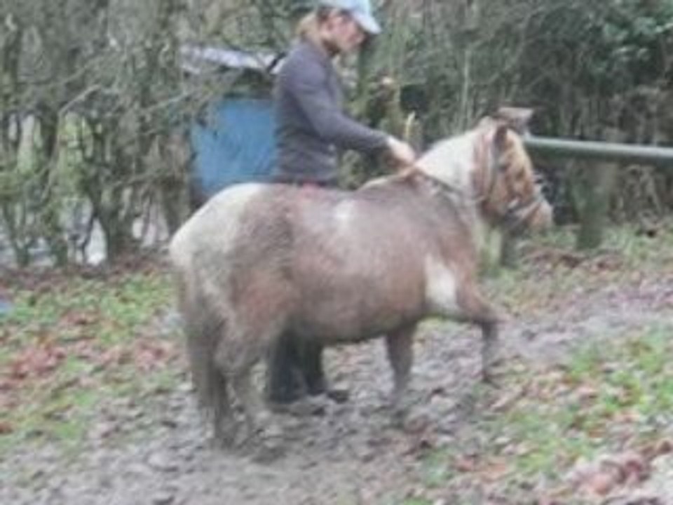 Pollux Cabrer O4-12-2OO8