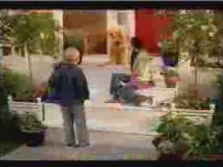 Hot Christmas Gifts 2008 | Fur Real Biscuit Pup