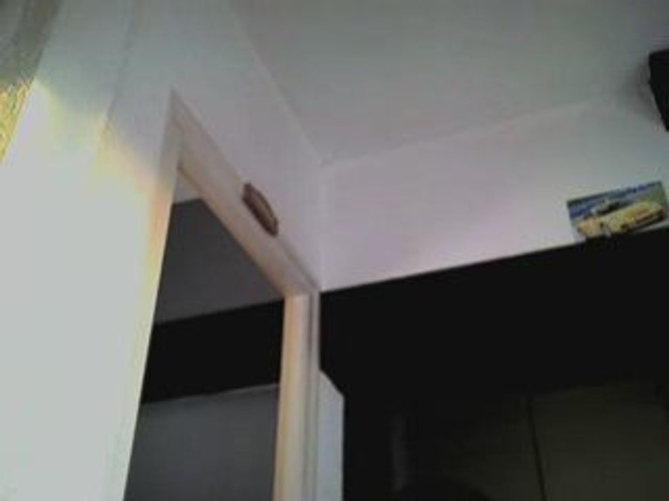 singin pink I don't believe you