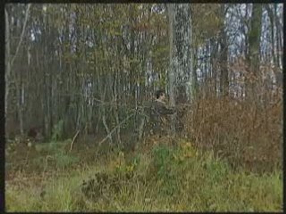 METIERS_DU_BOIS-COMMIS DE COUPE