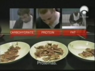 Obesidad y comidas proteicas