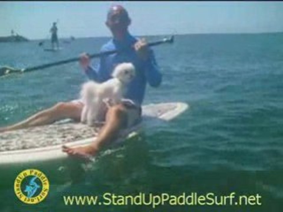 Surf n Sea Demo Day Part 1