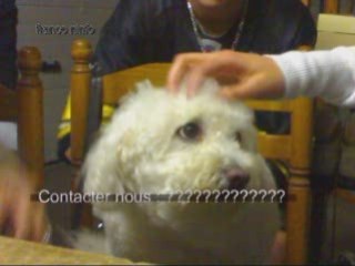 Projet perso fini divx v2.0