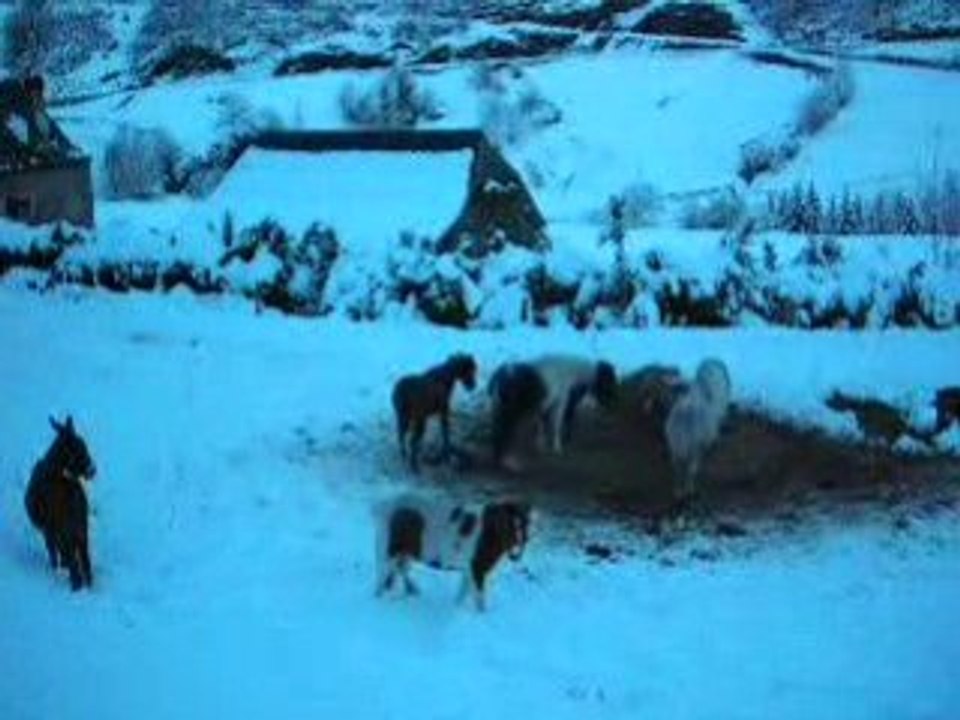 les petits dans la neige